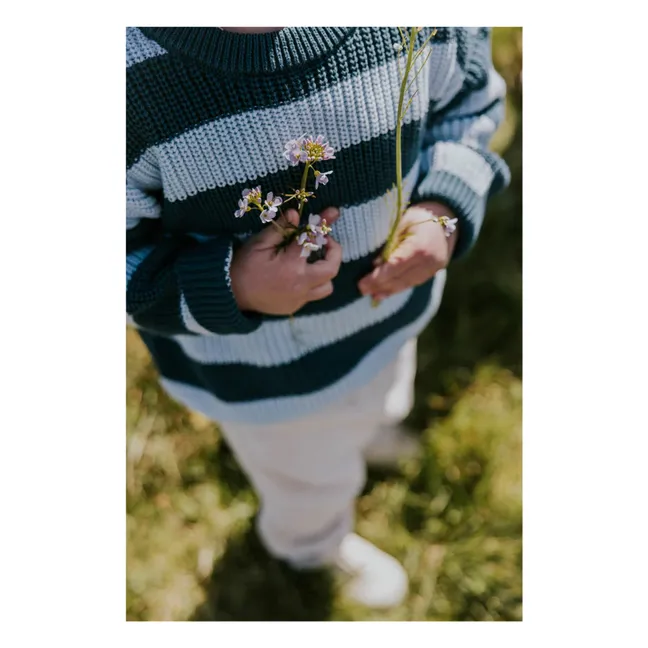 Pull Rayures Coton Bio | Bleu canard