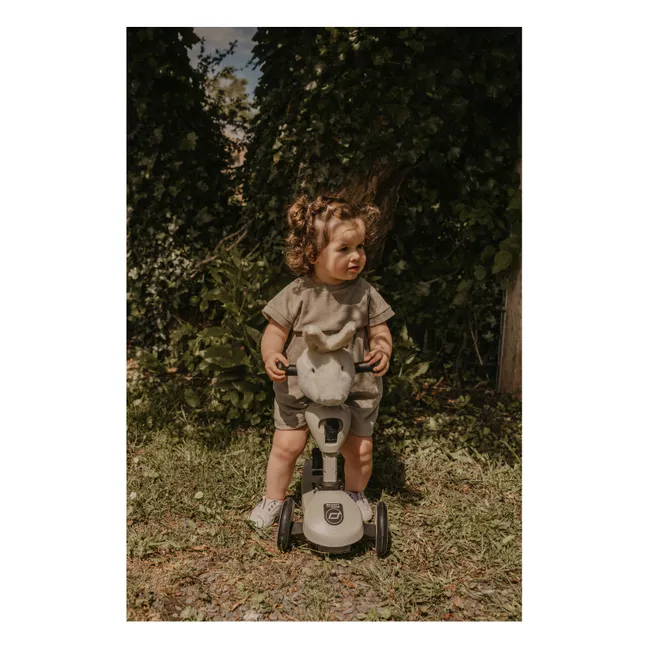Scooter-Kopf Kaninchen | Weiß