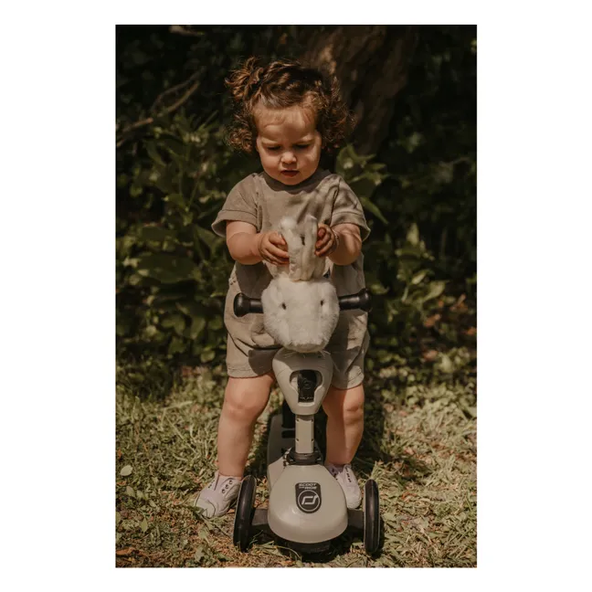 Scooter-Kopf Kaninchen | Weiß