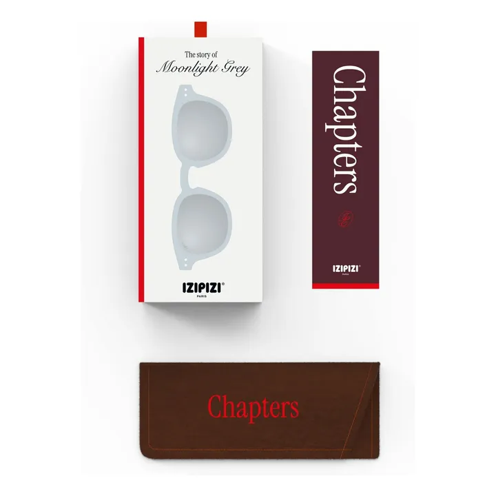 Lunettes de Soleil #C | Gris clair- Image produit n°4