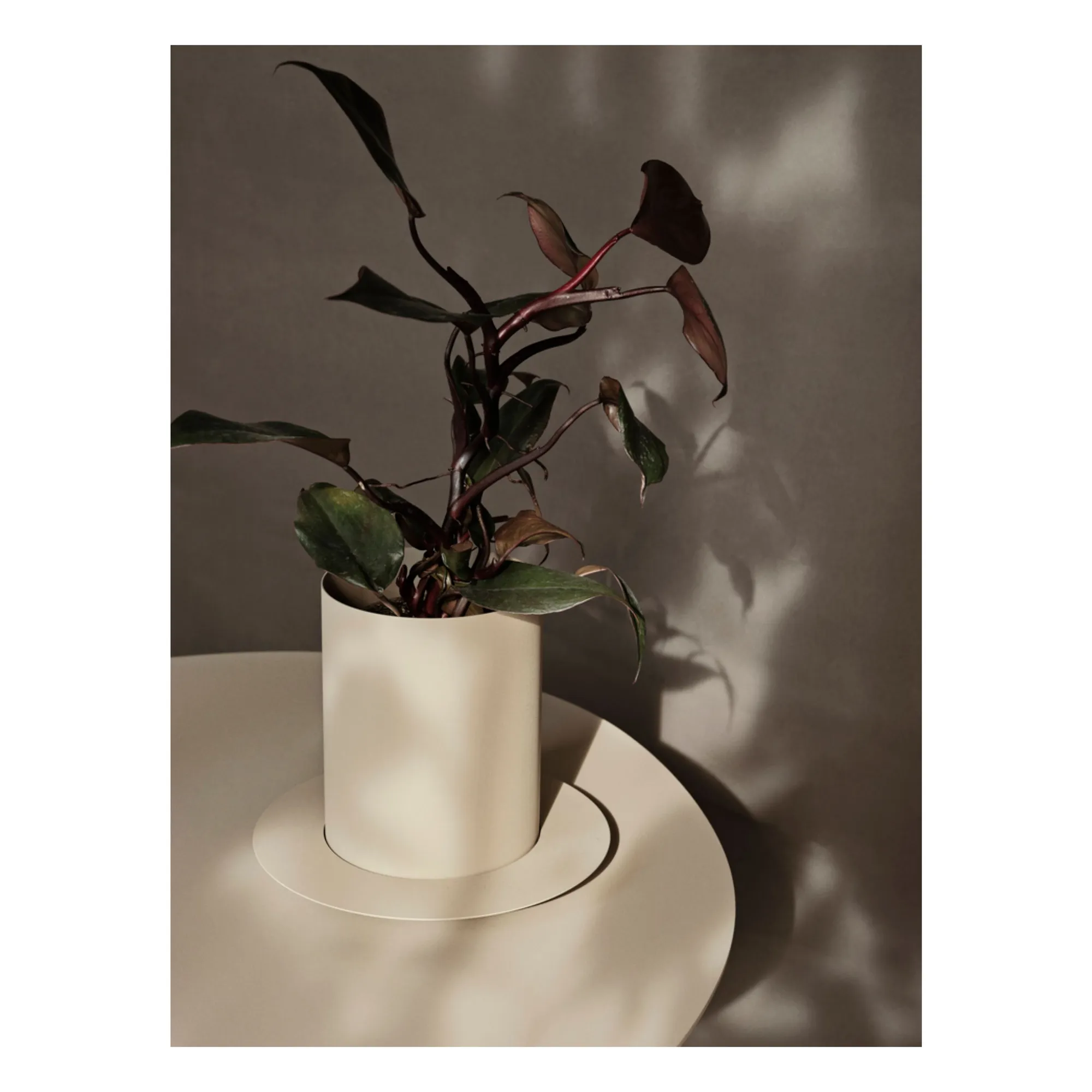 Cache-pot Auran | Beige- Image produit n°1