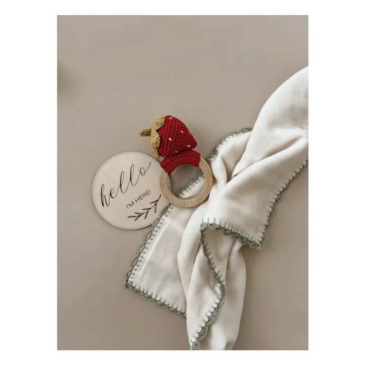 Anneau de dentition Fraise | Rouge- Image produit n°4