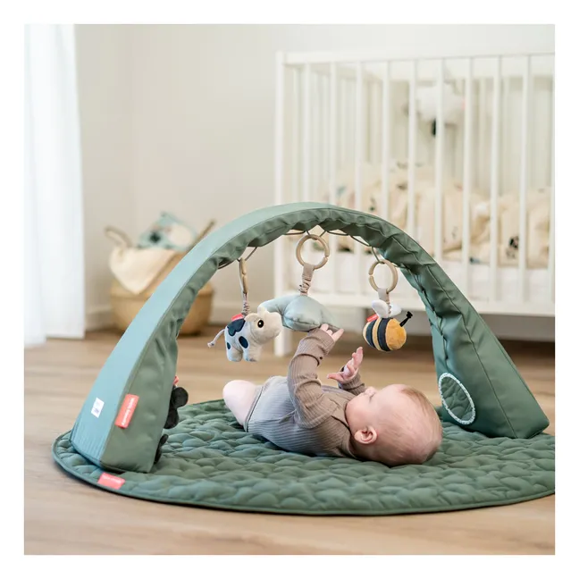 Arco de actividades de Tiny Farm | Verde