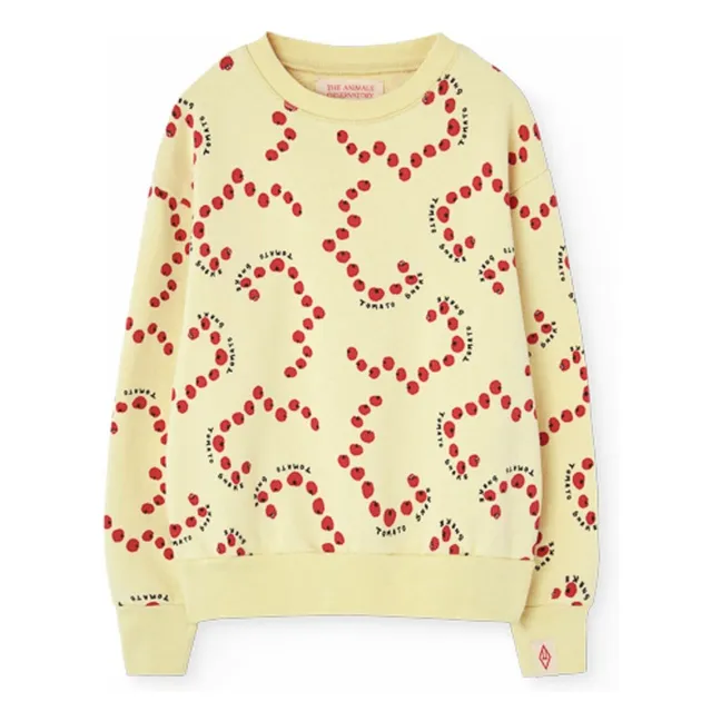 Oso Sudoroso | Amarillo