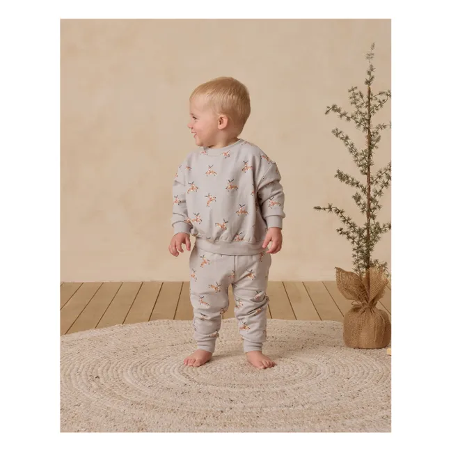 Jersey de algodón ecológico Rennes | Gris