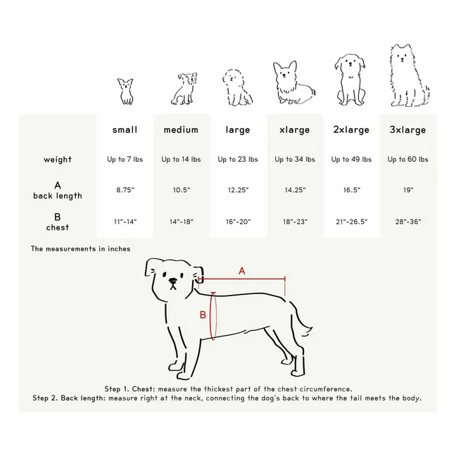 Striped sweater | Green