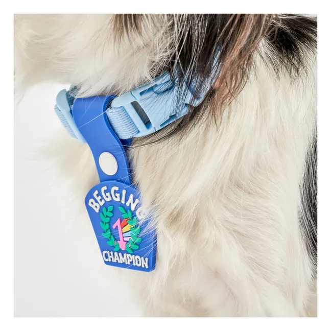 Medaglia di campione di accattonaggio | Blu