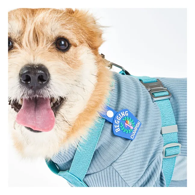 Médaille Begging Champion | Bleu