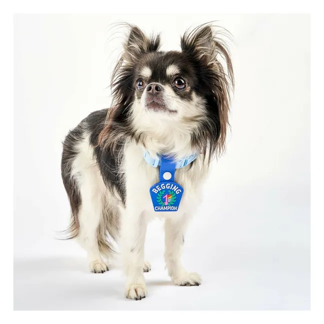 Begging Champion medal | Blue