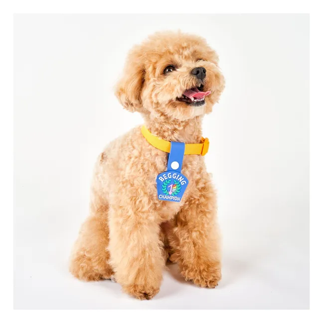 Begging Champion medal | Blue