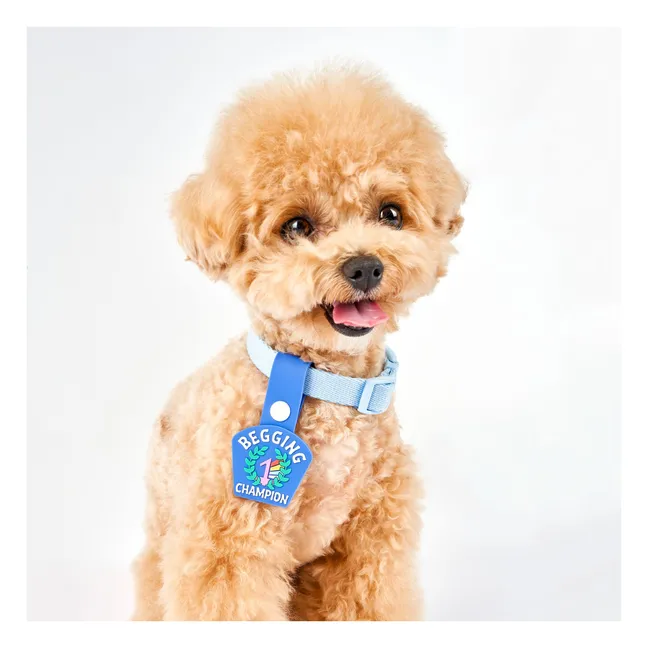 Begging Champion medal | Blue