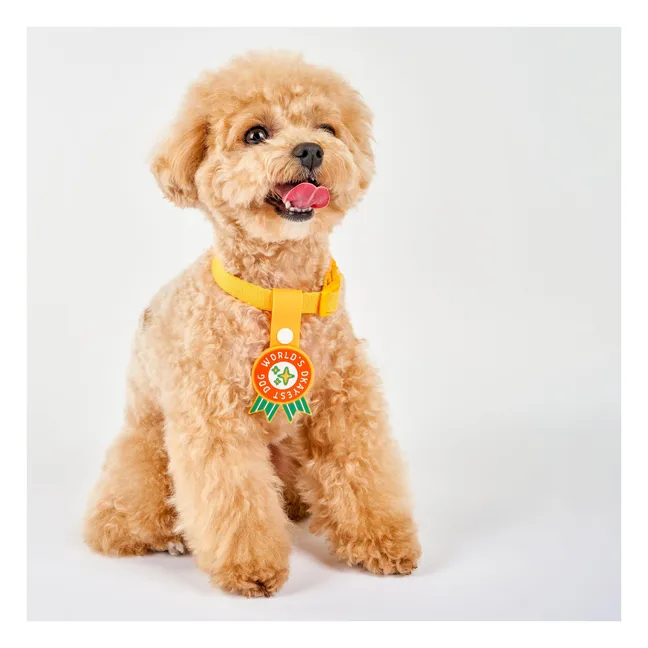 World's Okayest Dog Medal | Red