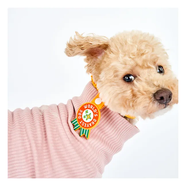 Medaille World's Okayest Dog | Rot