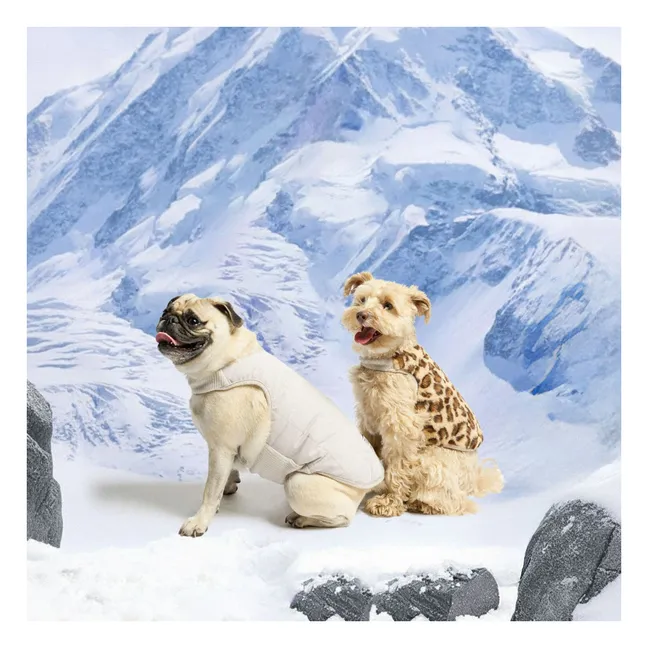 Piumino reversibile | Grigio