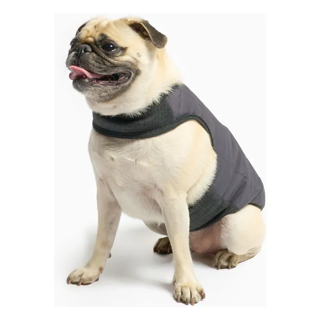 Reversible Daunenjacke | Schwarz