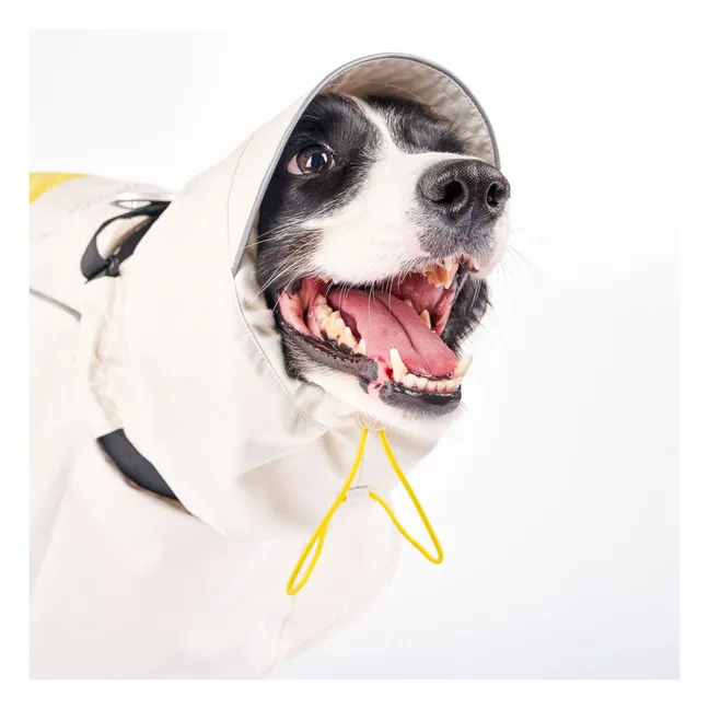 Cappotto antipioggia Venture | Giallo