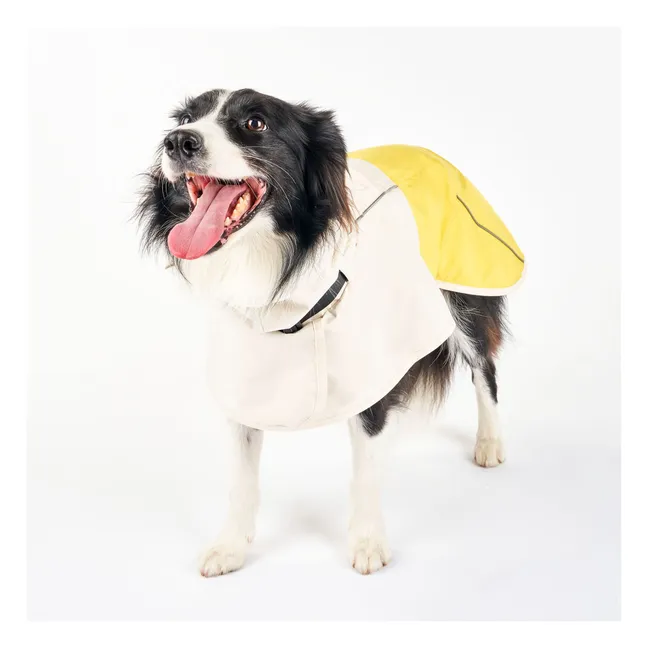 Cappotto antipioggia Venture | Giallo