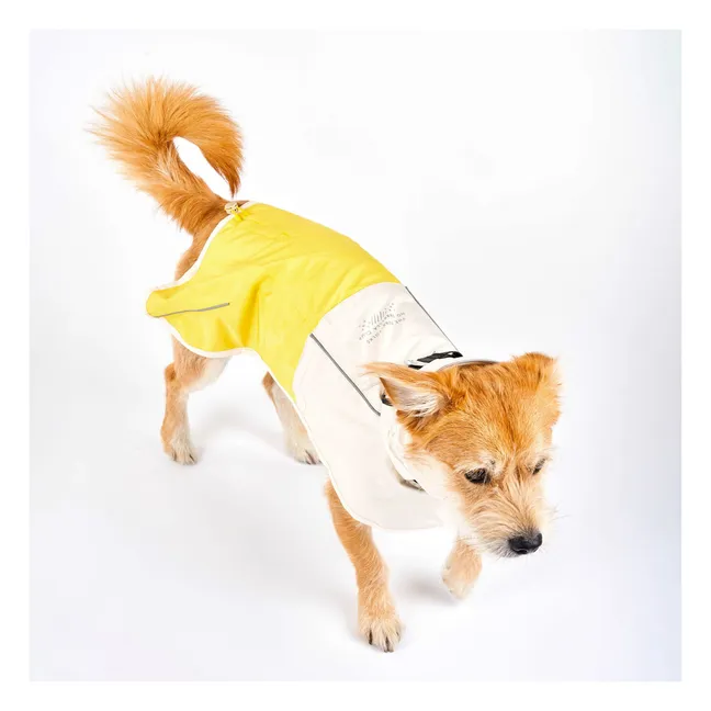 Cappotto antipioggia Venture | Giallo