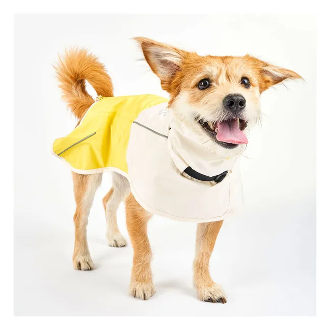 Cappotto antipioggia Venture | Giallo