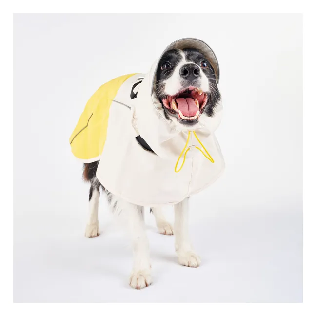 Cappotto antipioggia Venture | Giallo