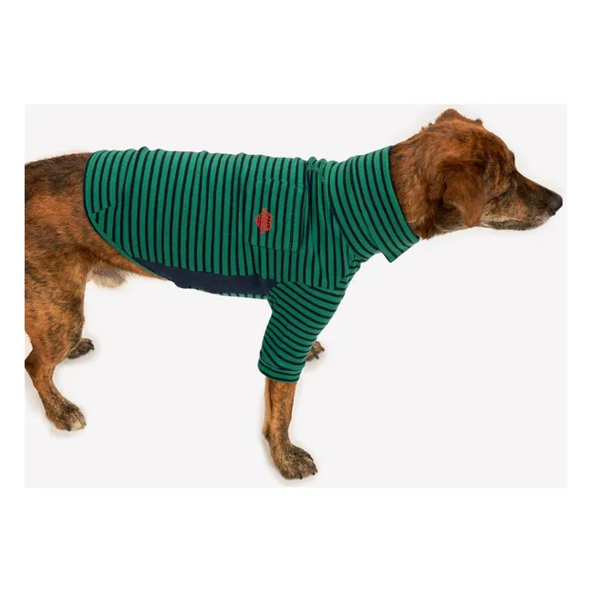 Striped sweater | Green