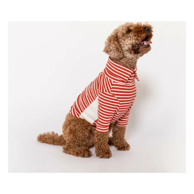 Striped sweater | Red