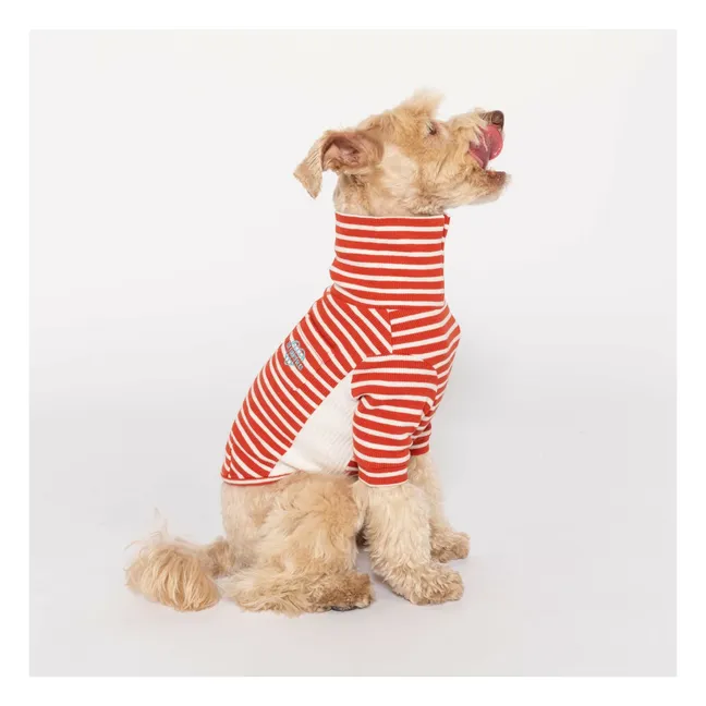 Striped sweater | Red