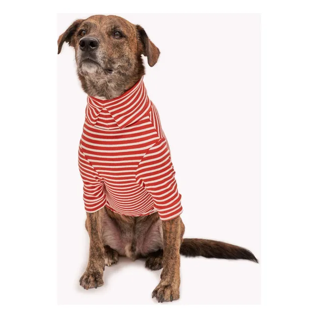 Gestreifter Pullover | Rot