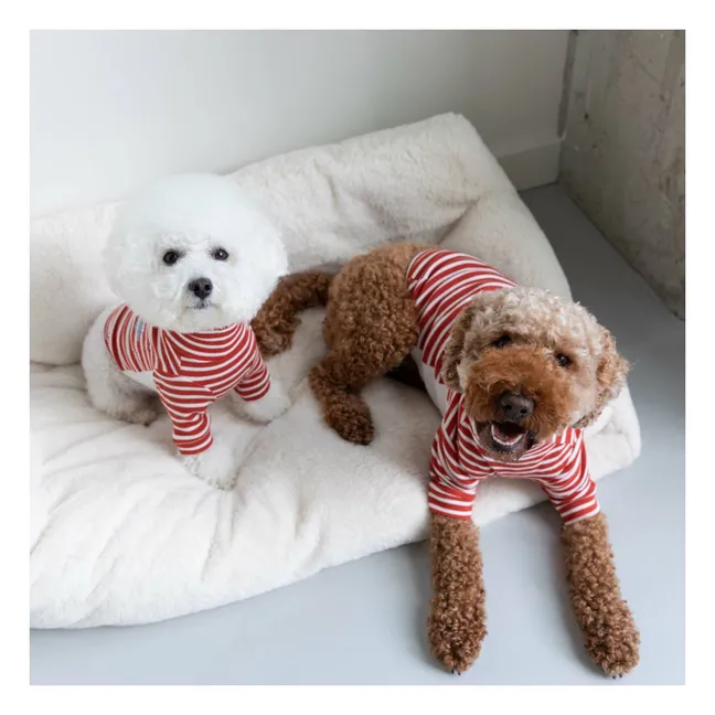 Gestreifter Pullover | Rot