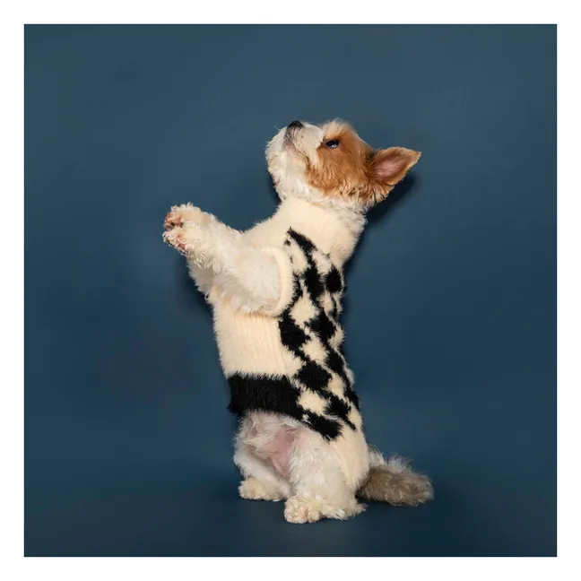 Pullover Pixmond | Schwarz