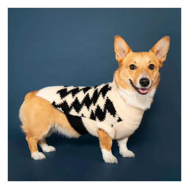 Pullover Pixmond | Schwarz