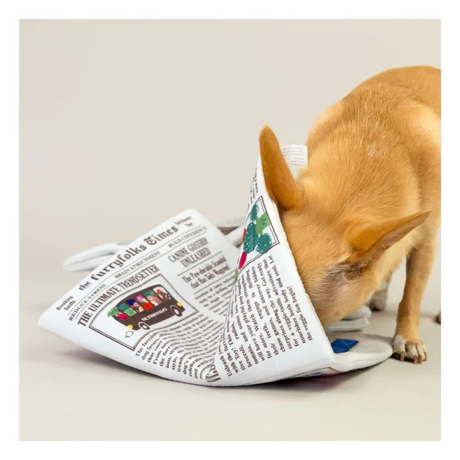 Jouet de fouille Newspapper | Multicolore