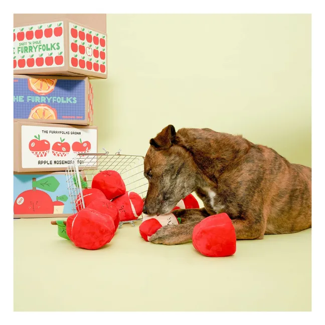 Jouet de fouille Apple | Rouge