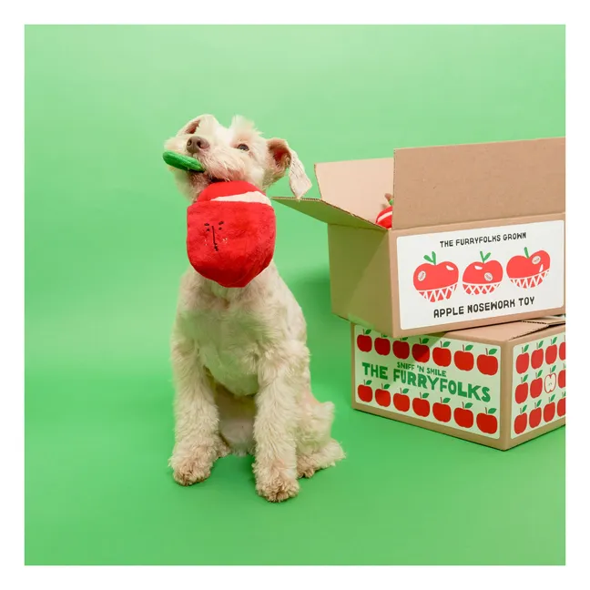 Jouet de fouille Apple | Rouge