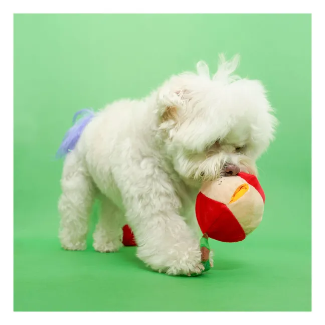 Giocattolo per scavare la mela | Rosso