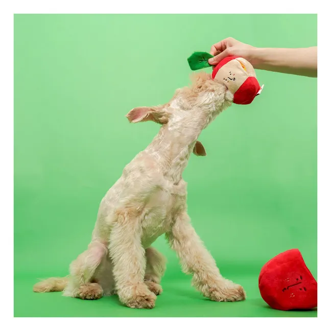 Apple Ausgrabungsspielzeug | Rot