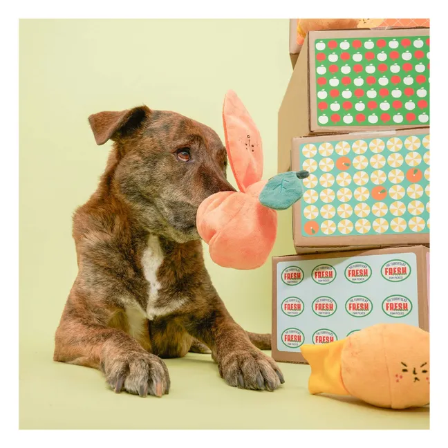 Ausgrabungsspielzeug Orange | Orange