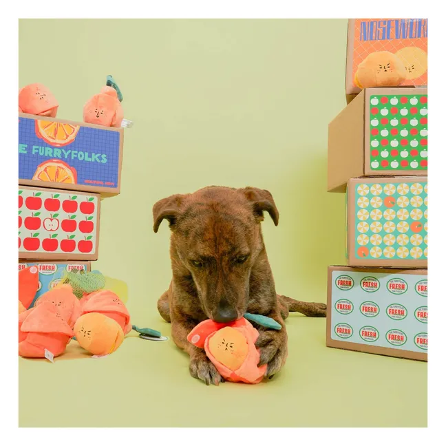 Ausgrabungsspielzeug Orange | Orange