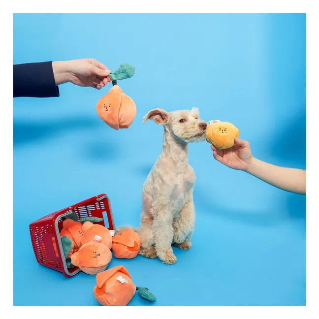 Ausgrabungsspielzeug Orange | Orange