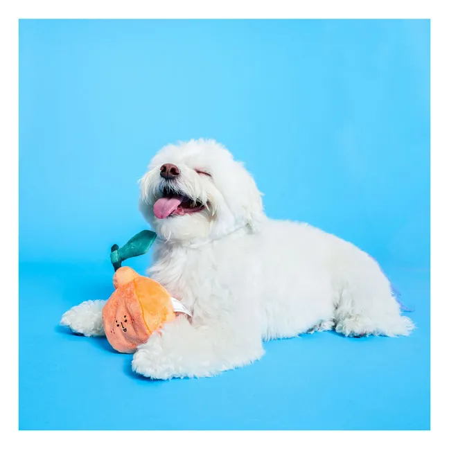 Ausgrabungsspielzeug Orange | Orange