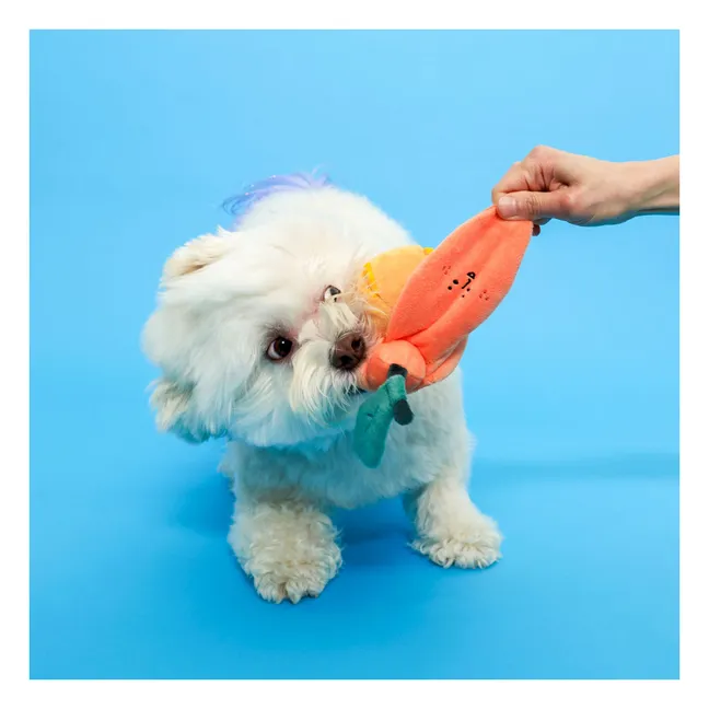 Orange digging toy | Orange