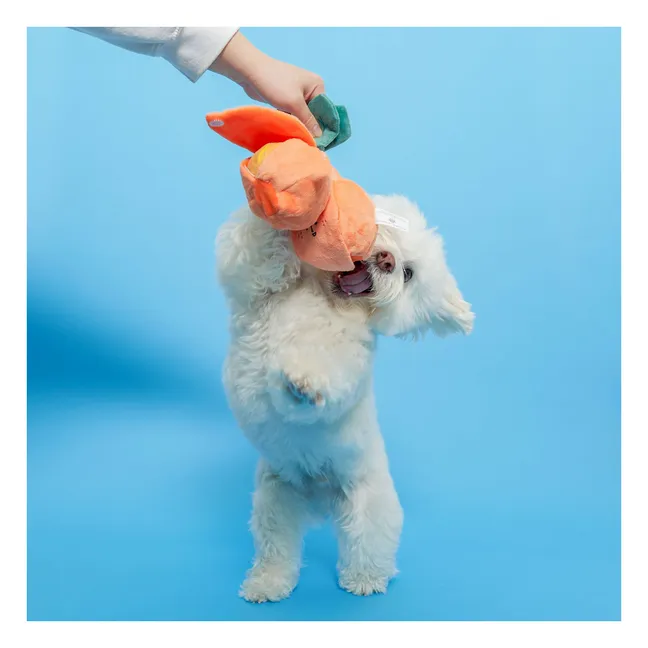 Orange digging toy | Orange