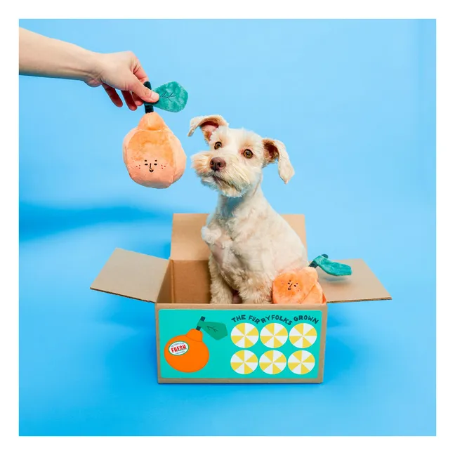 Ausgrabungsspielzeug Orange | Orange