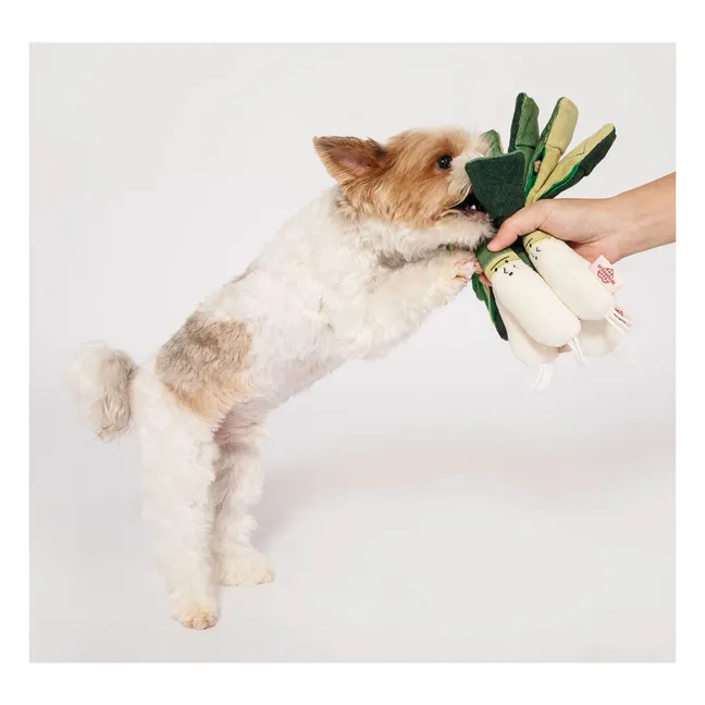 Ausgrabungsspielzeug Green Onion | Grün