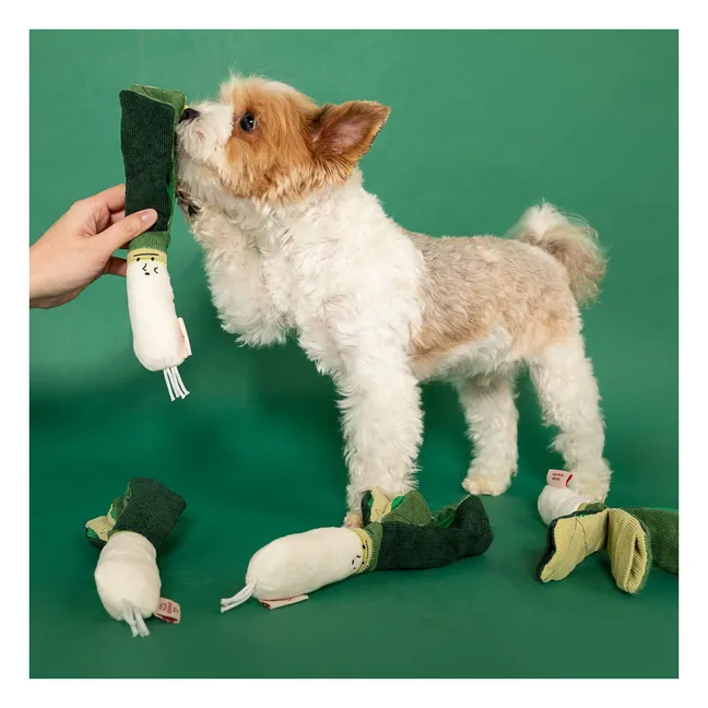 Ausgrabungsspielzeug Green Onion | Grün