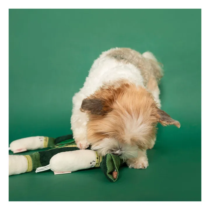 Jouet de fouille Green Onion | Vert- Image produit n°5