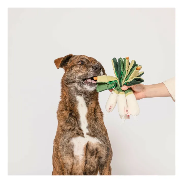 Jouet de fouille Green Onion | Vert- Image produit n°1