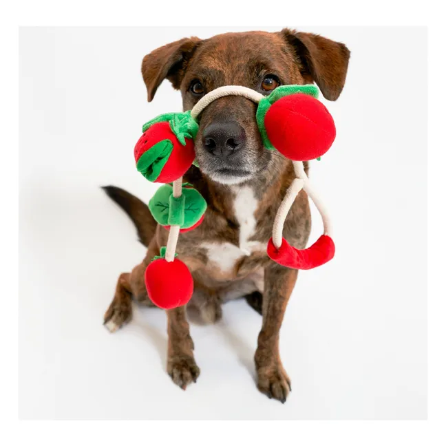 Cherry Tomato digging toy | Tomato red