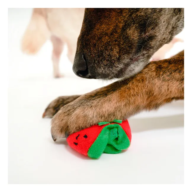 Cherry Tomato digging toy | Tomato red