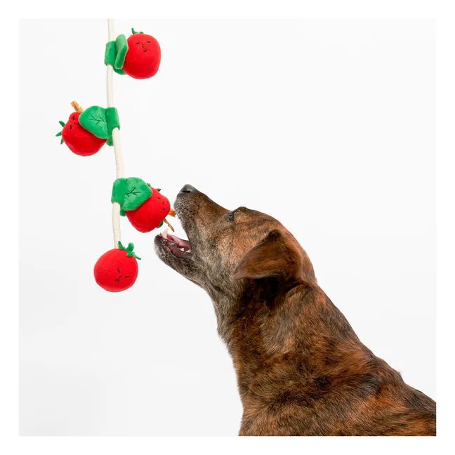 Ausgrabungsspielzeug Cherry Tomato | Tomatenrot